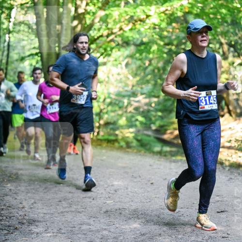 28.09.2025 - 33. Volkslauf durch das schöne Alstertal Dr. Thomas Lammeyer http://msf.ph/oto/8958483 28.09.2025 10:51:42 Laufen 3959, 3145, 1, 2 meine-sportfotos.de