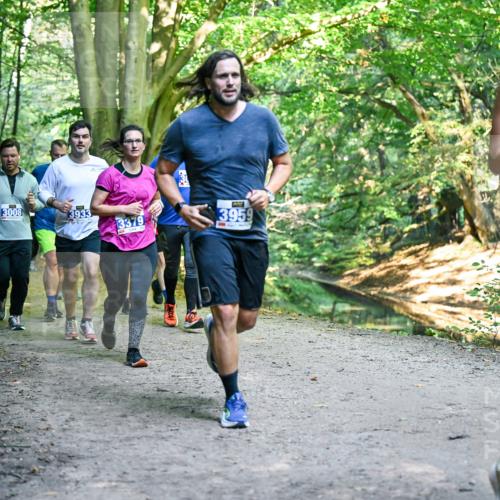 28.09.2025 - 33. Volkslauf durch das schöne Alstertal Dr. Thomas Lammeyer http://msf.ph/oto/8958485 28.09.2025 10:51:42 Laufen 3008, 3933, 3379, 3959, 3145 meine-sportfotos.de