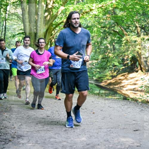 28.09.2025 - 33. Volkslauf durch das schöne Alstertal Dr. Thomas Lammeyer http://msf.ph/oto/8958486 28.09.2025 10:51:42 Laufen 3008, 3933, 3379, 3959 meine-sportfotos.de