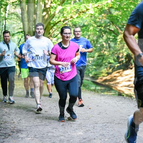 28.09.2025 - 33. Volkslauf durch das schöne Alstertal Dr. Thomas Lammeyer http://msf.ph/oto/8958495 28.09.2025 10:51:43 Laufen 13008, 3933, 3379, 959 meine-sportfotos.de