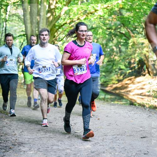 28.09.2025 - 33. Volkslauf durch das schöne Alstertal Dr. Thomas Lammeyer http://msf.ph/oto/8958496 28.09.2025 10:51:43 Laufen 3008, 3933, 3379, 39 meine-sportfotos.de
