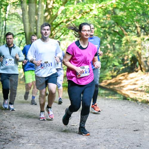 28.09.2025 - 33. Volkslauf durch das schöne Alstertal Dr. Thomas Lammeyer http://msf.ph/oto/8958497 28.09.2025 10:51:44 Laufen 3008, 3933, 79 meine-sportfotos.de