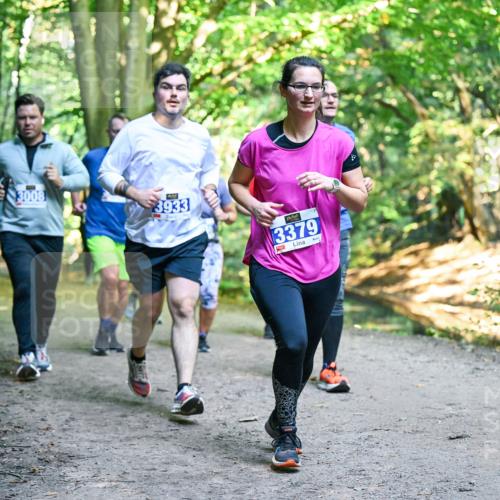 28.09.2025 - 33. Volkslauf durch das schöne Alstertal Dr. Thomas Lammeyer http://msf.ph/oto/8958498 28.09.2025 10:51:44 Laufen 3008, 3933, 3379 meine-sportfotos.de