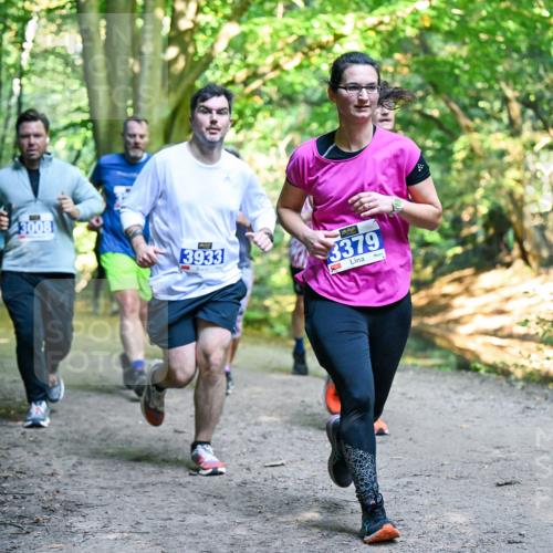 28.09.2025 - 33. Volkslauf durch das schöne Alstertal Dr. Thomas Lammeyer http://msf.ph/oto/8958499 28.09.2025 10:51:44 Laufen 3008, 3933, 3379 meine-sportfotos.de