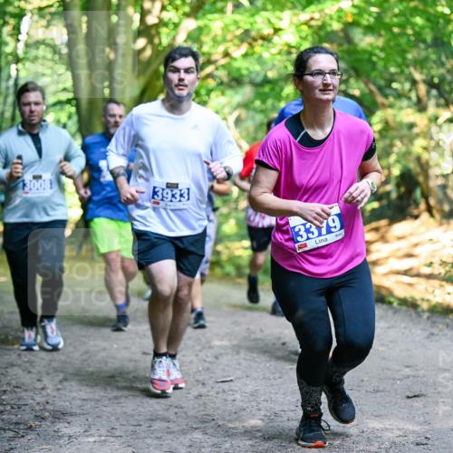 28.09.2025 - 33. Volkslauf durch das schöne Alstertal Dr. Thomas Lammeyer http://msf.ph/oto/8958500 28.09.2025 10:51:44 Laufen 13008, 3933, 3379 meine-sportfotos.de