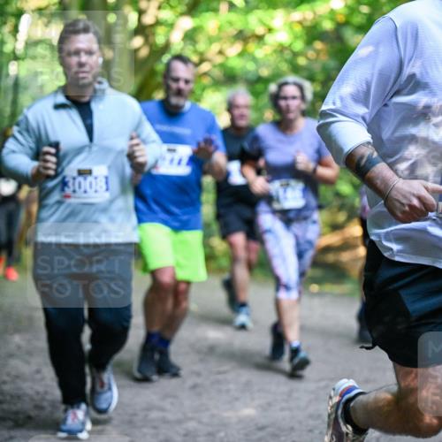 28.09.2025 - 33. Volkslauf durch das schöne Alstertal Dr. Thomas Lammeyer http://msf.ph/oto/8958510 28.09.2025 10:51:45 Laufen 3008, 3933 meine-sportfotos.de