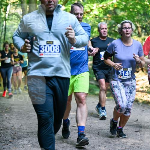 28.09.2025 - 33. Volkslauf durch das schöne Alstertal Dr. Thomas Lammeyer http://msf.ph/oto/8958512 28.09.2025 10:51:46 Laufen 3008, 3146, 3175 meine-sportfotos.de