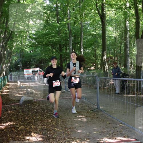 28.09.2025 - 33. Volkslauf durch das schöne Alstertal Strokosch-Dieckow http://msf.ph/oto/8958515 28.09.2025 13:17:38 Ziel 2643, 2644 meine-sportfotos.de