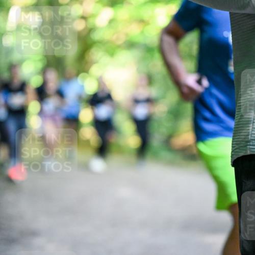 28.09.2025 - 33. Volkslauf durch das schöne Alstertal Dr. Thomas Lammeyer http://msf.ph/oto/8958521 28.09.2025 10:51:47 Laufen  meine-sportfotos.de