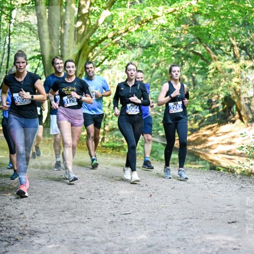 28.09.2025 - 33. Volkslauf durch das schöne Alstertal Dr. Thomas Lammeyer http://msf.ph/oto/8958525 28.09.2025 10:51:48 Laufen 303, 3129, 3064, 3242 meine-sportfotos.de