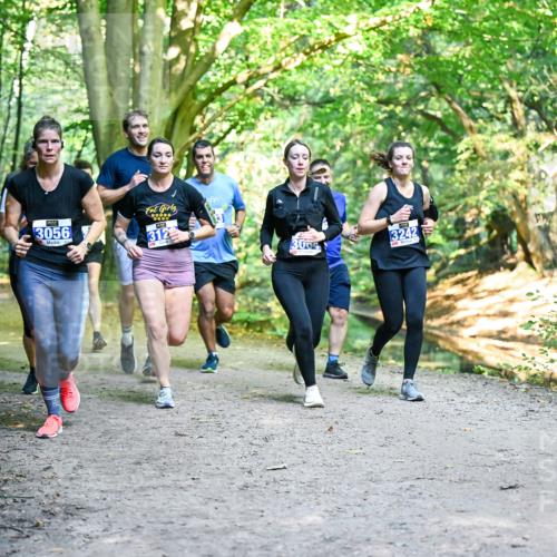 28.09.2025 - 33. Volkslauf durch das schöne Alstertal Dr. Thomas Lammeyer http://msf.ph/oto/8958526 28.09.2025 10:51:48 Laufen 3056, 312, 3009, 3242 meine-sportfotos.de