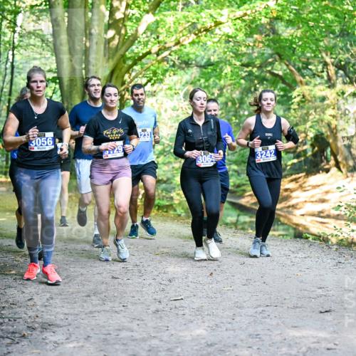 28.09.2025 - 33. Volkslauf durch das schöne Alstertal Dr. Thomas Lammeyer http://msf.ph/oto/8958527 28.09.2025 10:51:48 Laufen 3056, 3233, 529, 3064, 3242 meine-sportfotos.de