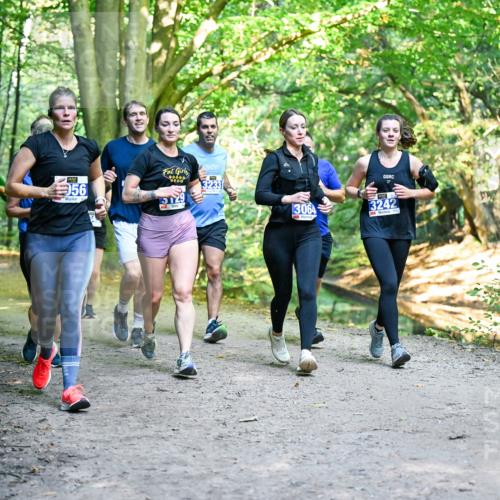 28.09.2025 - 33. Volkslauf durch das schöne Alstertal Dr. Thomas Lammeyer http://msf.ph/oto/8958528 28.09.2025 10:51:48 Laufen 56, 0000, 15129, 3064, 3242 meine-sportfotos.de