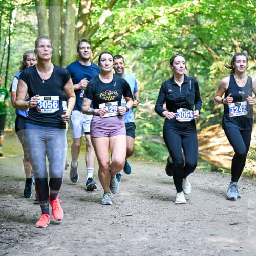 28.09.2025 - 33. Volkslauf durch das schöne Alstertal Dr. Thomas Lammeyer http://msf.ph/oto/8958532 28.09.2025 10:51:49 Laufen 3056, 29, 3064, 3, 3242 meine-sportfotos.de