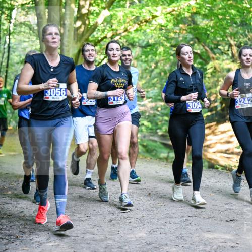 28.09.2025 - 33. Volkslauf durch das schöne Alstertal Dr. Thomas Lammeyer http://msf.ph/oto/8958533 28.09.2025 10:51:49 Laufen 13056, 00000, 3129, 3064, 3242 meine-sportfotos.de