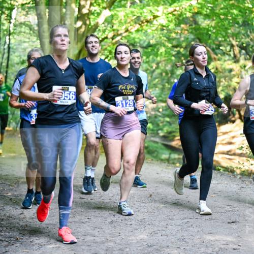 28.09.2025 - 33. Volkslauf durch das schöne Alstertal Dr. Thomas Lammeyer http://msf.ph/oto/8958534 28.09.2025 10:51:49 Laufen 56, 00000, 0000, 3129, 3242 meine-sportfotos.de