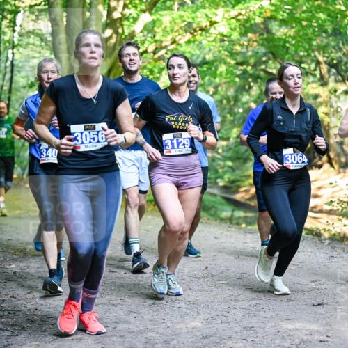 28.09.2025 - 33. Volkslauf durch das schöne Alstertal Dr. Thomas Lammeyer http://msf.ph/oto/8958536 28.09.2025 10:51:49 Laufen 340, 3056, 00000, 3129, 3064, 13242 meine-sportfotos.de