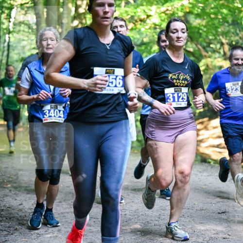 28.09.2025 - 33. Volkslauf durch das schöne Alstertal Dr. Thomas Lammeyer http://msf.ph/oto/8958539 28.09.2025 10:51:50 Laufen 3404, 56, 00000, 0000, 3129, 323 meine-sportfotos.de