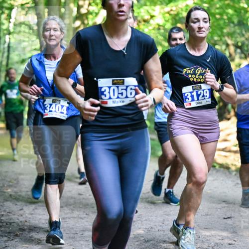 28.09.2025 - 33. Volkslauf durch das schöne Alstertal Dr. Thomas Lammeyer http://msf.ph/oto/8958541 28.09.2025 10:51:50 Laufen 3404, 7, 3056, 3129, 130 meine-sportfotos.de