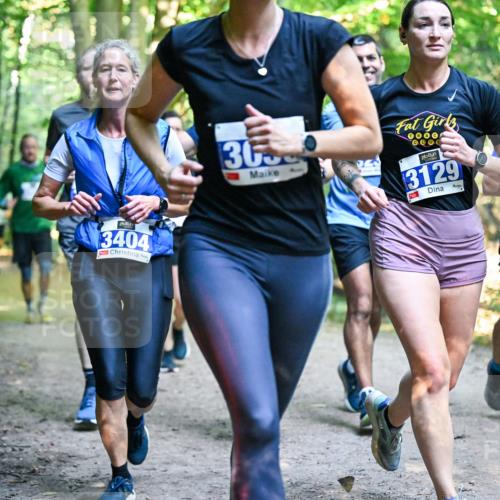 28.09.2025 - 33. Volkslauf durch das schöne Alstertal Dr. Thomas Lammeyer http://msf.ph/oto/8958542 28.09.2025 10:51:50 Laufen 3404, 36, 3129, 3234 meine-sportfotos.de