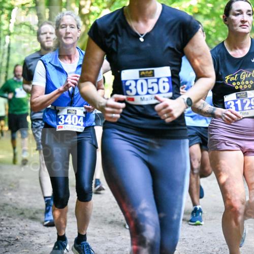 28.09.2025 - 33. Volkslauf durch das schöne Alstertal Dr. Thomas Lammeyer http://msf.ph/oto/8958543 28.09.2025 10:51:50 Laufen 3404, 3056, 006, 3129, 3234 meine-sportfotos.de