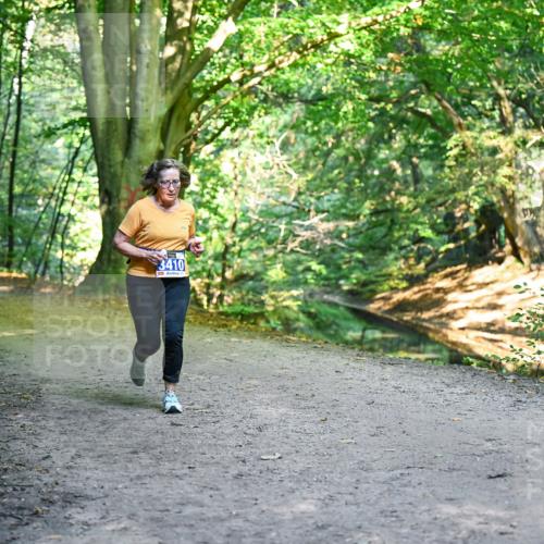 28.09.2025 - 33. Volkslauf durch das schöne Alstertal Dr. Thomas Lammeyer http://msf.ph/oto/8958584 28.09.2025 10:51:59 Laufen 3410 meine-sportfotos.de