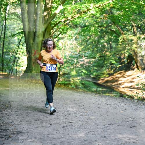 28.09.2025 - 33. Volkslauf durch das schöne Alstertal Dr. Thomas Lammeyer http://msf.ph/oto/8958586 28.09.2025 10:51:59 Laufen 3410 meine-sportfotos.de