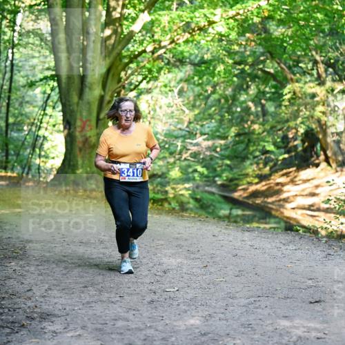 28.09.2025 - 33. Volkslauf durch das schöne Alstertal Dr. Thomas Lammeyer http://msf.ph/oto/8958587 28.09.2025 10:52:00 Laufen 3410 meine-sportfotos.de