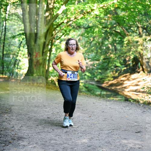 28.09.2025 - 33. Volkslauf durch das schöne Alstertal Dr. Thomas Lammeyer http://msf.ph/oto/8958591 28.09.2025 10:52:00 Laufen 3410 meine-sportfotos.de