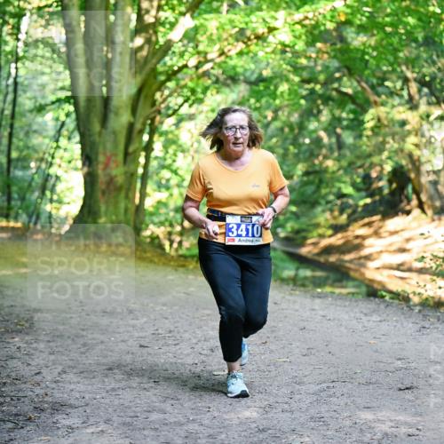 28.09.2025 - 33. Volkslauf durch das schöne Alstertal Dr. Thomas Lammeyer http://msf.ph/oto/8958593 28.09.2025 10:52:00 Laufen 3410 meine-sportfotos.de