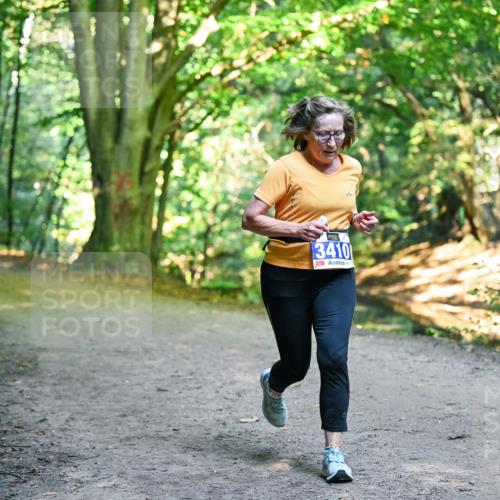 28.09.2025 - 33. Volkslauf durch das schöne Alstertal Dr. Thomas Lammeyer http://msf.ph/oto/8958595 28.09.2025 10:52:01 Laufen 3410 meine-sportfotos.de