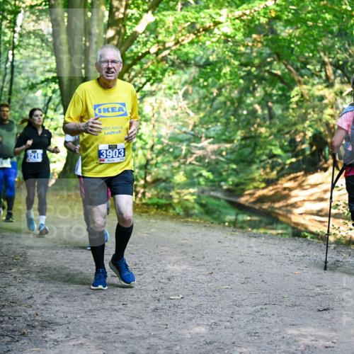 28.09.2025 - 33. Volkslauf durch das schöne Alstertal Dr. Thomas Lammeyer http://msf.ph/oto/8958596 28.09.2025 10:52:06 Laufen 3216, 3903 meine-sportfotos.de