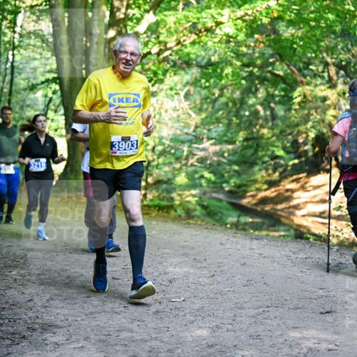 28.09.2025 - 33. Volkslauf durch das schöne Alstertal Dr. Thomas Lammeyer http://msf.ph/oto/8958598 28.09.2025 10:52:06 Laufen 3216, 3903 meine-sportfotos.de