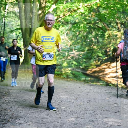 28.09.2025 - 33. Volkslauf durch das schöne Alstertal Dr. Thomas Lammeyer http://msf.ph/oto/8958599 28.09.2025 10:52:07 Laufen 3216, 3903 meine-sportfotos.de