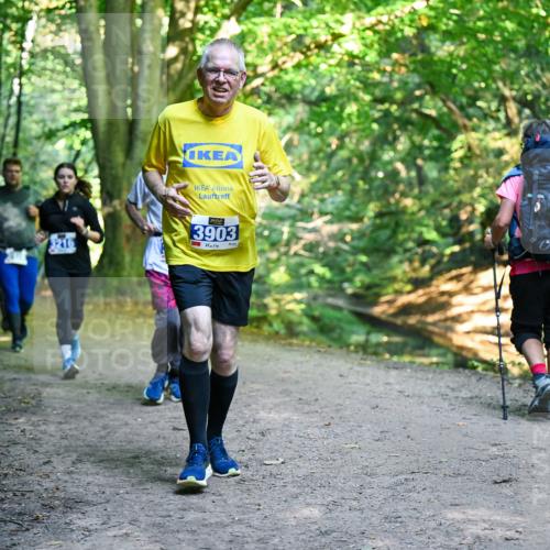 28.09.2025 - 33. Volkslauf durch das schöne Alstertal Dr. Thomas Lammeyer http://msf.ph/oto/8958600 28.09.2025 10:52:07 Laufen 3903 meine-sportfotos.de