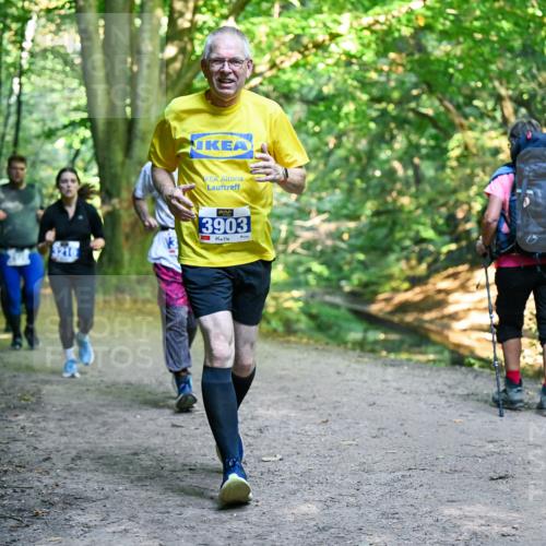 28.09.2025 - 33. Volkslauf durch das schöne Alstertal Dr. Thomas Lammeyer http://msf.ph/oto/8958601 28.09.2025 10:52:07 Laufen 3216, 3903 meine-sportfotos.de
