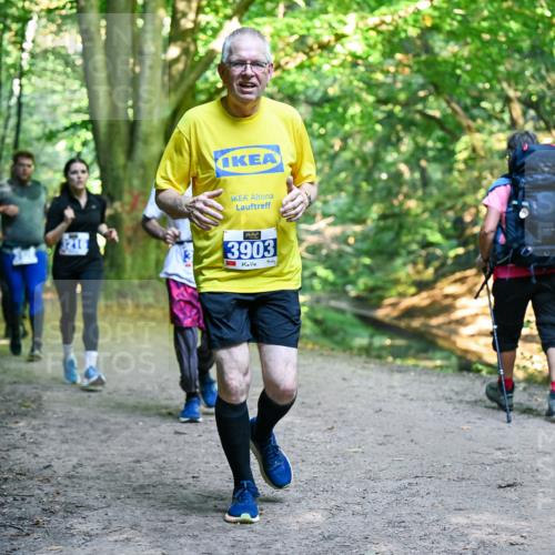 28.09.2025 - 33. Volkslauf durch das schöne Alstertal Dr. Thomas Lammeyer http://msf.ph/oto/8958602 28.09.2025 10:52:07 Laufen 3903 meine-sportfotos.de