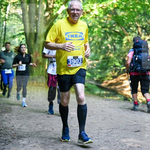 28.09.2025 - 33. Volkslauf durch das schöne Alstertal Dr. Thomas Lammeyer http://msf.ph/oto/8958603 28.09.2025 10:52:07 Laufen 3903 meine-sportfotos.de
