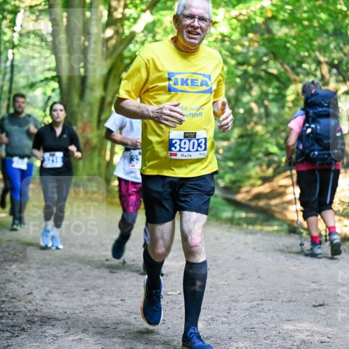 28.09.2025 - 33. Volkslauf durch das schöne Alstertal Dr. Thomas Lammeyer http://msf.ph/oto/8958604 28.09.2025 10:52:07 Laufen 3903 meine-sportfotos.de