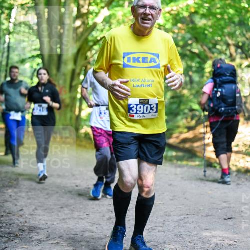 28.09.2025 - 33. Volkslauf durch das schöne Alstertal Dr. Thomas Lammeyer http://msf.ph/oto/8958606 28.09.2025 10:52:07 Laufen 3903 meine-sportfotos.de