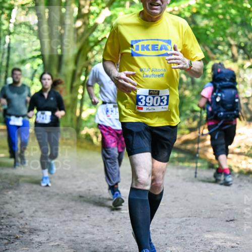 28.09.2025 - 33. Volkslauf durch das schöne Alstertal Dr. Thomas Lammeyer http://msf.ph/oto/8958607 28.09.2025 10:52:08 Laufen 3903 meine-sportfotos.de