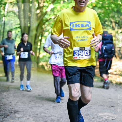 28.09.2025 - 33. Volkslauf durch das schöne Alstertal Dr. Thomas Lammeyer http://msf.ph/oto/8958608 28.09.2025 10:52:08 Laufen 3903 meine-sportfotos.de