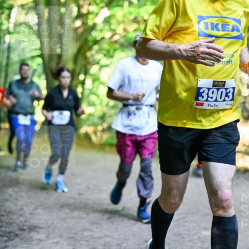 28.09.2025 - 33. Volkslauf durch das schöne Alstertal Dr. Thomas Lammeyer http://msf.ph/oto/8958610 28.09.2025 10:52:08 Laufen 3903 meine-sportfotos.de