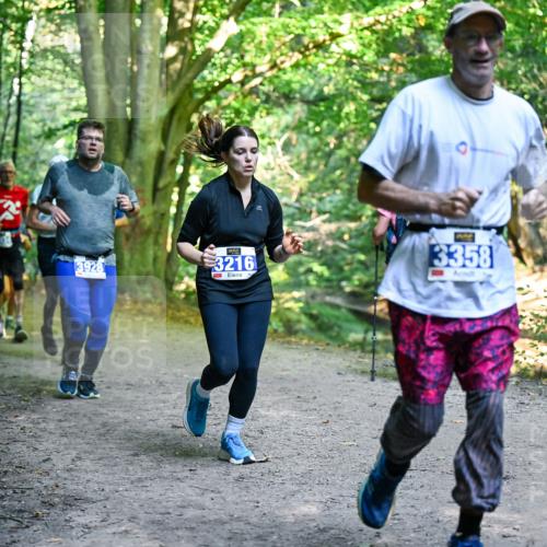 28.09.2025 - 33. Volkslauf durch das schöne Alstertal Dr. Thomas Lammeyer http://msf.ph/oto/8958614 28.09.2025 10:52:09 Laufen 3928, 3216, 3358 meine-sportfotos.de