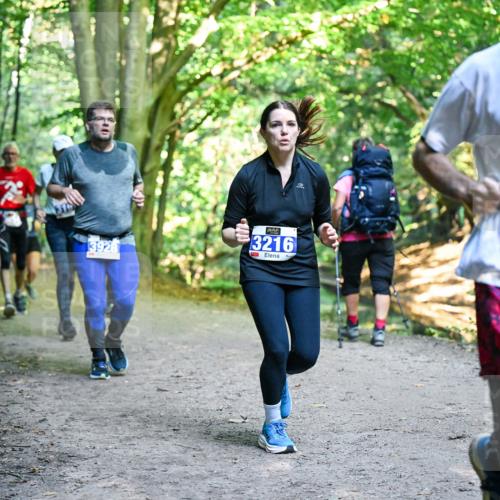 28.09.2025 - 33. Volkslauf durch das schöne Alstertal Dr. Thomas Lammeyer http://msf.ph/oto/8958616 28.09.2025 10:52:09 Laufen 3928, 3358, 3216 meine-sportfotos.de