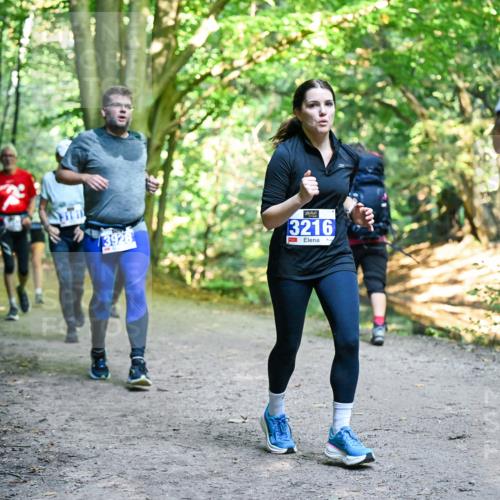 28.09.2025 - 33. Volkslauf durch das schöne Alstertal Dr. Thomas Lammeyer http://msf.ph/oto/8958617 28.09.2025 10:52:09 Laufen 3928, 10, 22, 13216, 33 meine-sportfotos.de