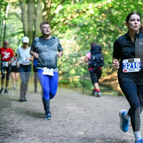 28.09.2025 - 33. Volkslauf durch das schöne Alstertal Dr. Thomas Lammeyer http://msf.ph/oto/8958620 28.09.2025 10:52:10 Laufen 3216 meine-sportfotos.de