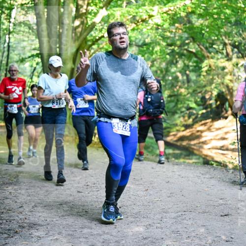 28.09.2025 - 33. Volkslauf durch das schöne Alstertal Dr. Thomas Lammeyer http://msf.ph/oto/8958623 28.09.2025 10:52:10 Laufen 3191, 3928 meine-sportfotos.de