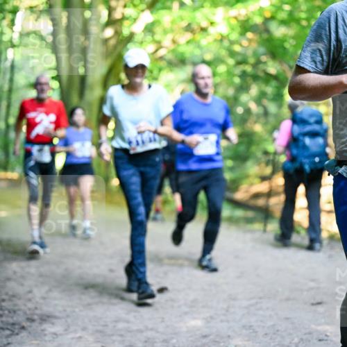 28.09.2025 - 33. Volkslauf durch das schöne Alstertal Dr. Thomas Lammeyer http://msf.ph/oto/8958630 28.09.2025 10:52:11 Laufen 3928 meine-sportfotos.de
