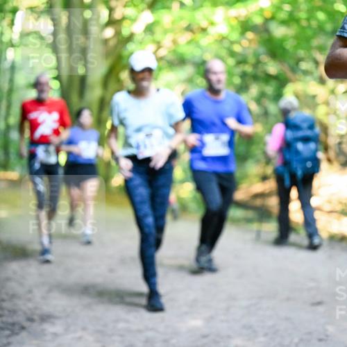 28.09.2025 - 33. Volkslauf durch das schöne Alstertal Dr. Thomas Lammeyer http://msf.ph/oto/8958632 28.09.2025 10:52:11 Laufen  meine-sportfotos.de